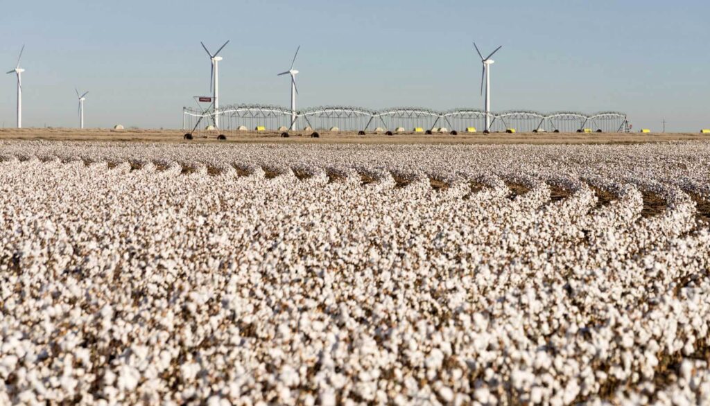 wind turbines in distance