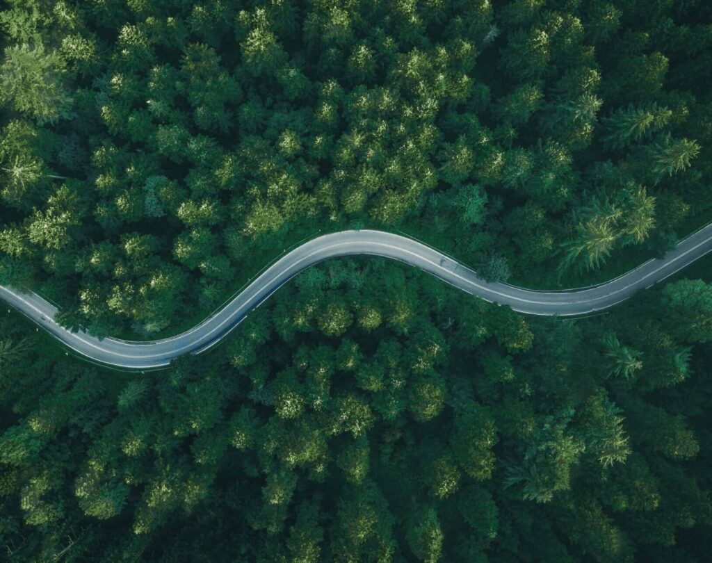 Transportation, road winding through tress