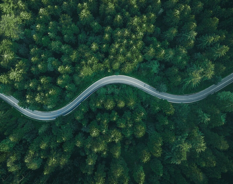 road winding through trees