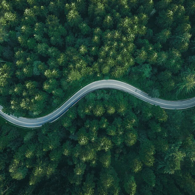 road winding through many green trees