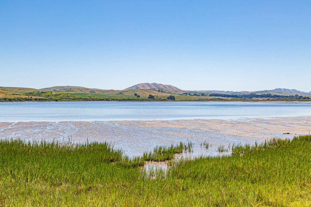 river with hills in the background
