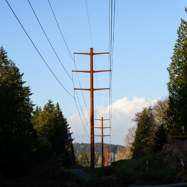 Power lines and polls running into the horizon