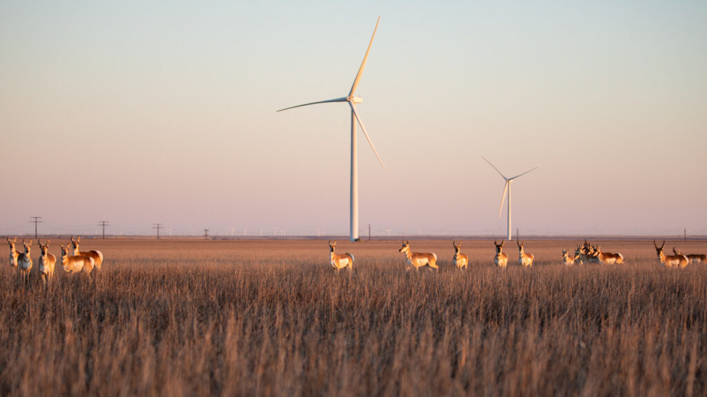 Wind turbines in field