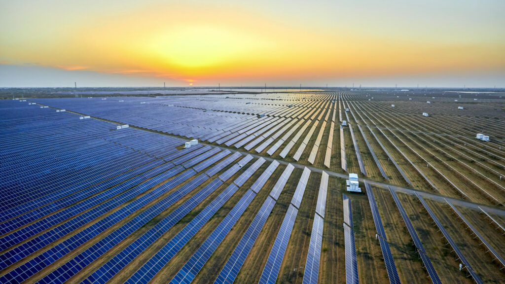 field of solar panels