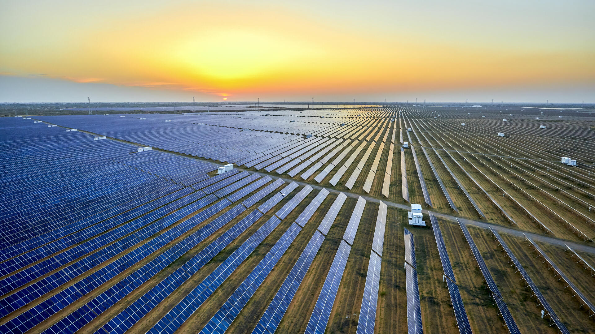 field of solar panels