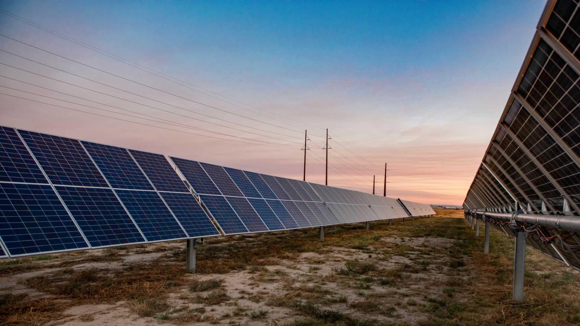 Solar panels in field